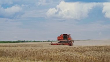 Açık havada açık bulutlu gökyüzünün altındaki buğday tarlasında hasat makinesini kırmızı birleştirin. Yazın olgunlaşmış sarı buğday hasadı süreci. Tarım geçmişi.