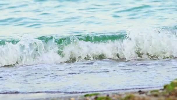海水の波がビーチで海の端で踊っています 夏にはパラダイスビーチで透明な水の白い波 スローモーション 隠蔽工作 — ストック動画