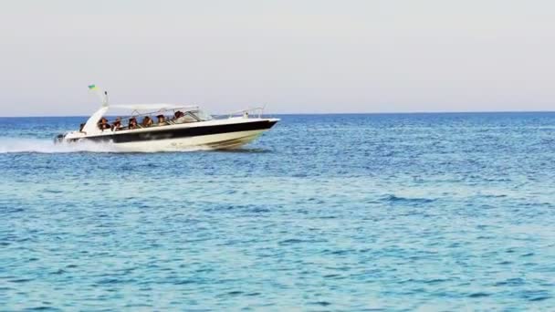在距海岸不远处的无云蓝天的背景下 与人同行的卡塔马兰正乘着海浪游览 — 图库视频影像