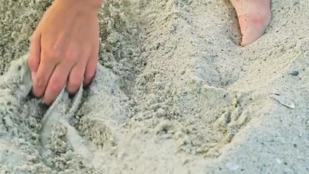 子供は休暇で海の近くの砂の中に手でピットを掘る ビーチでのエンターテイメント — ストック動画