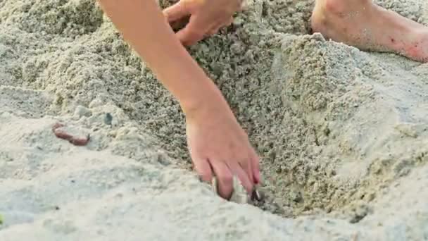 Mały Chłopiec Koszuli Kratę Kopie Zatokę Dłońmi Piaszczystej Plaży Latem — Wideo stockowe