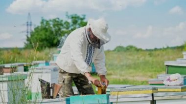 Arıcı iş başında. Arı kovanının çerçeveleri. Apiary kavramı