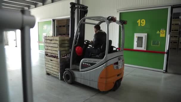 Traktor Vysokozdvižným Vozíkem Vyzvedne Přívěsu Dřevěnou Krabici Jablky Odveze Továrny — Stock video