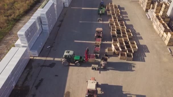 Een Arbeider Verplaatst Twee Houten Kratten Rijpe Appels Met Behulp — Stockvideo