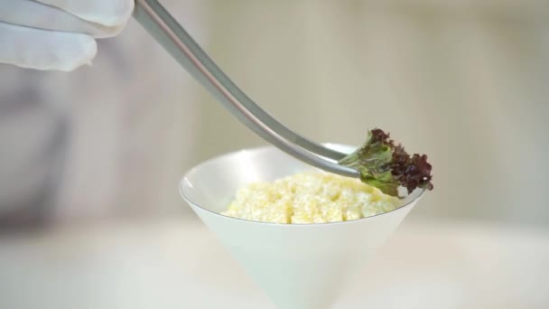 Ein Koch Serviert Das Gericht Einer Weißen Keramikschüssel Mit Kirschtomatenstücken — Stockvideo