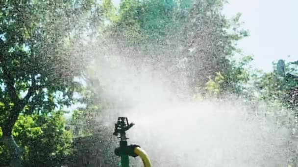 Ein Professionelles Automatisches Bewässerungssystem Versprüht Sommer Wasser Kleinen Tröpfchen Der — Stockvideo