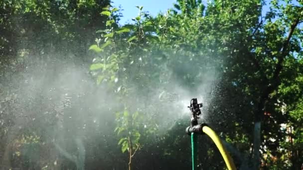 Ein Automatisches Bewässerungssystem Sprüht Schnell Wasser Verschiedene Richtungen Des Gemüsegartens — Stockvideo