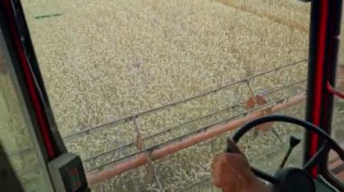 Tarlada tahıl toplama ekipmanları. Hasat zamanı. Tarım sektörü