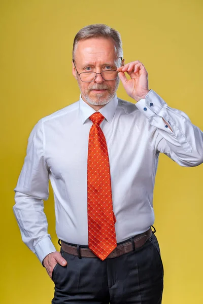 Portrait Senior Man Glasses Man Looking Camera Business Man Studio — Stock Photo, Image