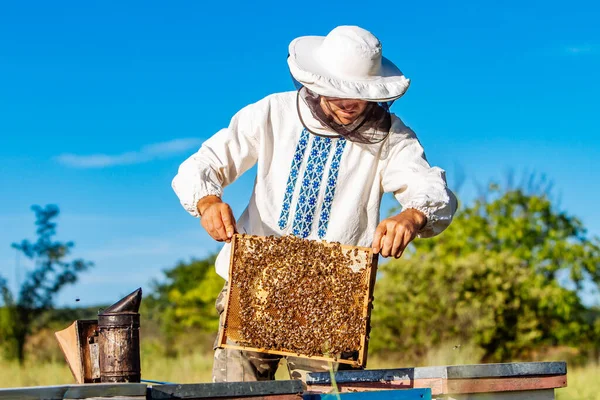Young Beekeeper Working Apiary Beekeeping Concept Beekeeper Harvesting Honey — Stock Photo, Image