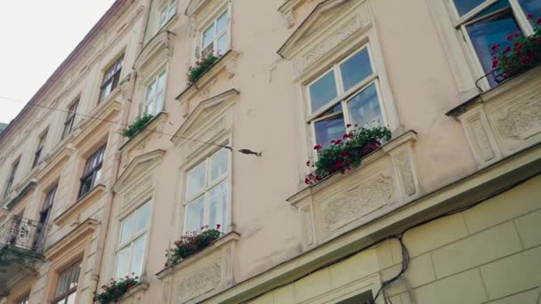 Αρχιτεκτονικά Κτίρια Λουλούδια Στα Παράθυρα Της Ευρωπαϊκής Πόλης Lviv Υπέροχο — Αρχείο Βίντεο