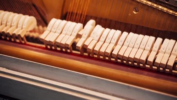 钢琴的原理起作用了 钢琴的结构创造了声音 这架钢琴怎么样 钢琴是如何创造声音的 — 图库视频影像