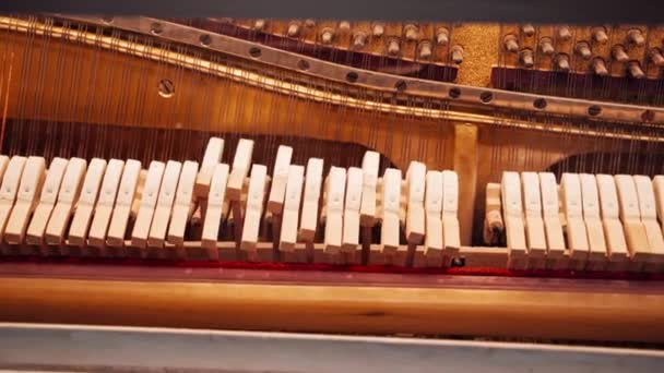 Pianostuk Het Mechanisme Van Piano Werkt Hoe Werkt Piano — Stockvideo