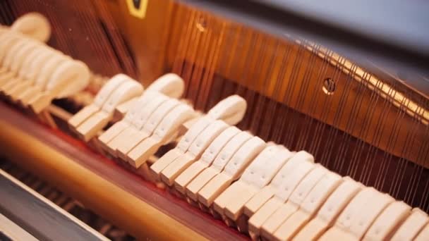 Het Mechanisme Van Piano Werkt Het Pianomechanisme Creëert Geluid Hoe — Stockvideo