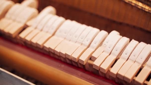 Μηχανισμός Του Πιάνου Λειτουργεί Μηχανισμός Του Πιάνου Δημιουργεί Ήχο Πώς — Αρχείο Βίντεο