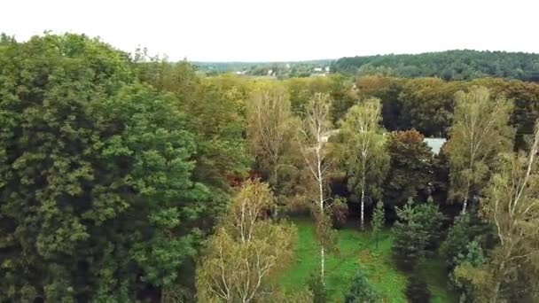 Drone Πυροβόλησε Εναέρια Θέα Των Δέντρων Του Φθινοπώρου Στο Πάρκο — Αρχείο Βίντεο