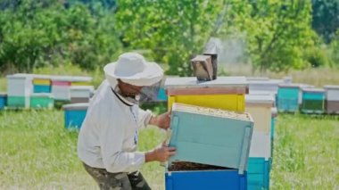 Arıcı apiary üzerinde arı lar ve arı kovanları ile çalışıyor. Arı kovanının çerçeveleri. Apiary kavramı