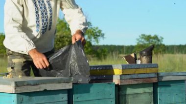 Arıcı apiary üzerinde arı lar ve arı kovanları ile çalışıyor. Arı kovanının çerçeveleri. Apiary kavramı