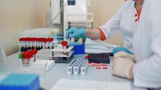 戴无菌手套的医学专家正在诊所的桌子上处理血液样本 高级女护士在实验室教青年工人用血做实验 — 图库视频影像