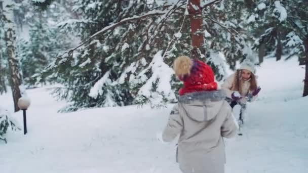 幸せな子供たちは冬に森の中で遊んでいます 雪の背景に屋外と2人の女の子が一緒に素晴らしい時間を過ごしています スローモーション — ストック動画