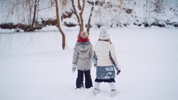 好奇的孩子们在雪地里一起散步 小男孩和一个女孩在户外美丽的冬季风景上度过了一段美好的时光 慢动作 — 图库视频影像