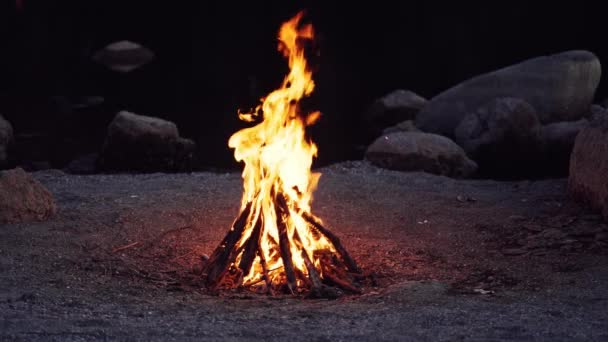 Groot Kampvuur Natuur Achtergrond Mooi Vuur Brandt Fel Langzame Beweging — Stockvideo