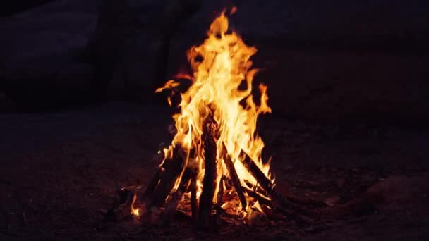 Queimando Fogueira Uma Noite Verão Lado Floresta — Vídeo de Stock