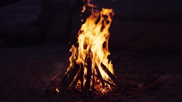 Fuego Ardiente Hoguera Primer Plano Llamas Ardiendo Sobre Fondo Negro — Vídeos de Stock