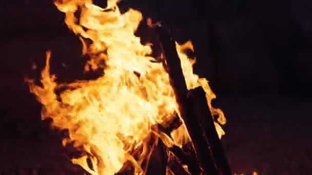 Gece Ormanında Şenlik Ateşi Yanan Ahşap Yavaş Çekim — Stok video
