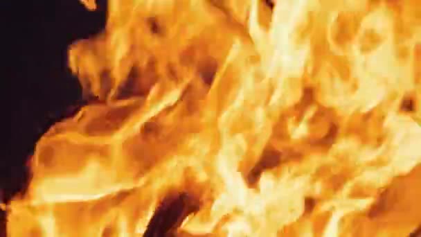 Le feu brûle la nuit. Flammes de feu sur fond noir au ralenti .
