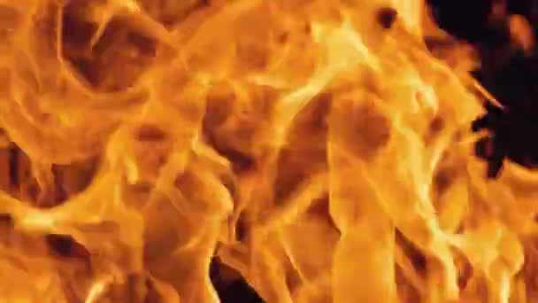 Şenlik Ateşi Geceleri Yanıyor Ağır Çekimde Siyah Arkaplanda Ateş Alevleri — Stok video