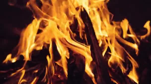 Brennendes Holz Lagerfeuer Freien Brennt Hell Der Nacht Wald Mit — Stockvideo