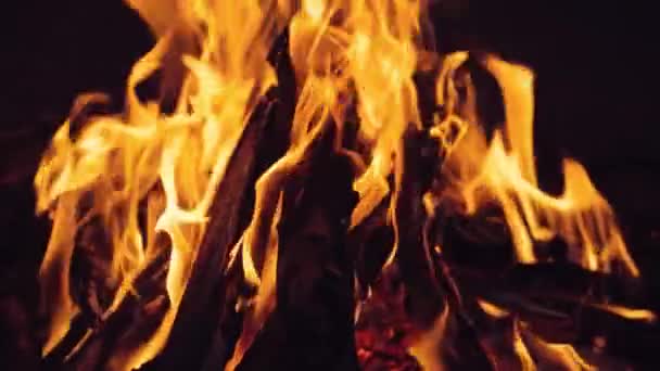 夜间森林篝火 燃烧的木头 慢动作 — 图库视频影像