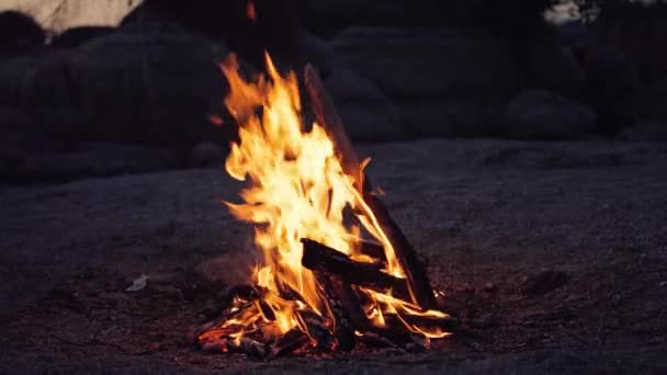 Cámara Lenta Fuego Hoguera Oscuridad Primer Plano — Vídeos de Stock