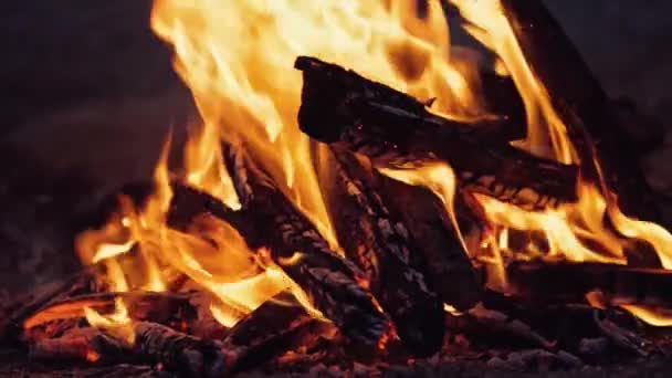 Encerramento Uma Fogueira Lindo Fogo Queima Brilhantemente Bordos Fogo Sobem — Vídeo de Stock