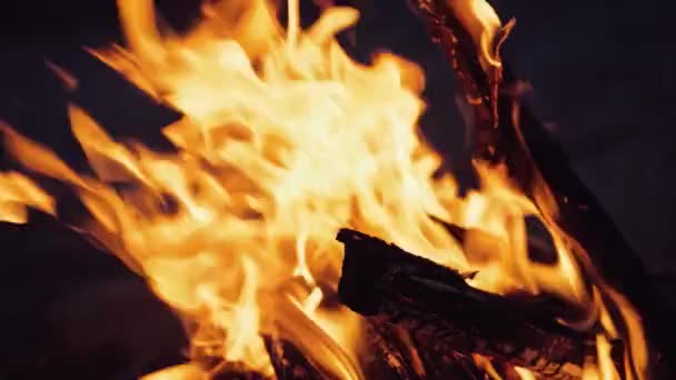 木を燃やす 屋外の薪キャンプファイヤーは夜の森で火花を散らして明るく燃える — ストック動画