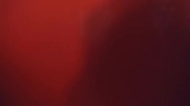 Genç terzi ahşap masaya parlak kırmızı kumaş koyuyor. Atölyedeki bir terzinin elinde büyük bir parça kırmızı kumaş vardı..