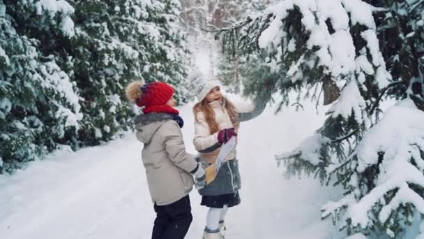 冬の美しい公園のモミの木の近くに幸せな小さな子供たちが立っています かわいい女の子は 雪の地面に戻って実行しているモミの木と彼女の友人の雪の枝を振っている — ストック動画