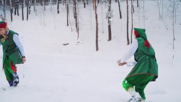 大きな耳を持つ緑の衣装で幸せな葉は森の中で白い雪で遊んでいます クリスマスキャラクターのエルフは冬に森の中で楽しんでいます屋外 — ストック動画