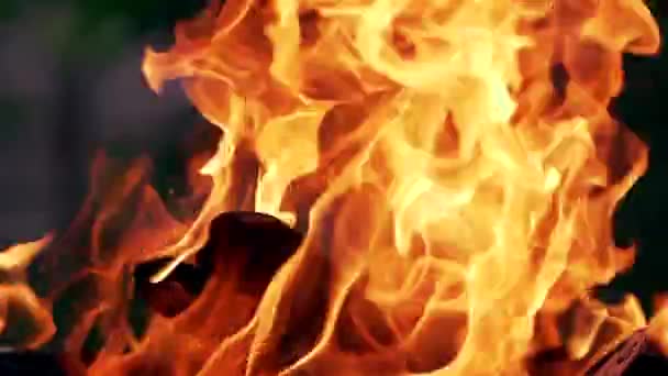 かがり火 オレンジの炎で丸太を焼く 美しい炎が明るく燃える スローモーション — ストック動画