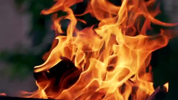 Ormanda Yürüyüş Yaparken Yanan Bir Şenlik Ateşi Yemek Pişirmek Soğuk — Stok video