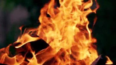 Gece kamp ateşi. Güzel ateş parlak bir şekilde yanar. Ateşin közleri yukarı tırmanıyor. Kırmızı alevler yükseliyor.