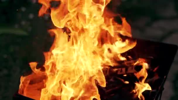火鉢の屋外で薪のたき火を燃焼 炎は本質的にバーベキューを発射します 外でバーベキューを調理する準備 — ストック動画
