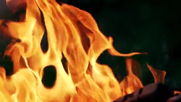 Яркое Горящее Дерево Сжигание Костра Открытом Воздухе Пламя Огонь Барбекю — стоковое видео