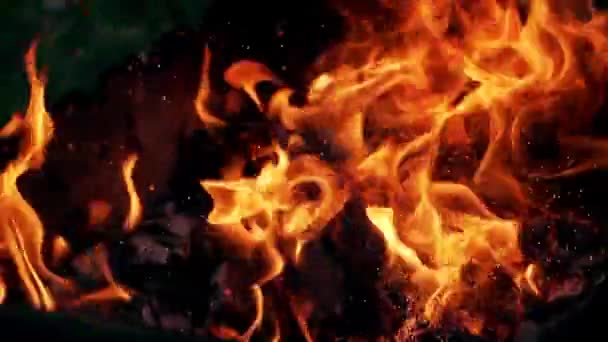 Oheň Pálení Polen Oranžových Plamenech Krásný Oheň Jasně Hoří Ohnivé — Stock video