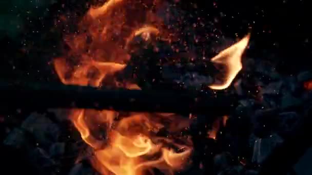 통나무를 주황색 불꽃으로 버리는 아름다운 타오른다 사람들이 올라간다 — 비디오