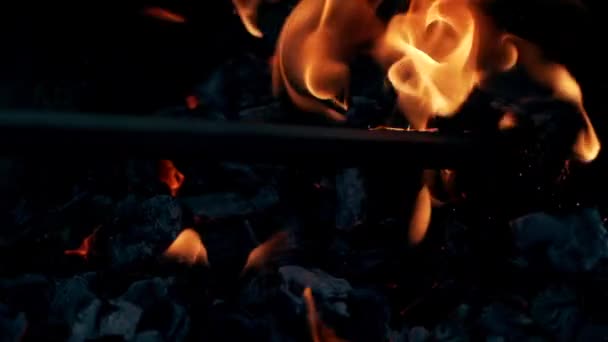 Burning Log Fire Flames Grill Beautiful Fire Burns Brightly Embers — Stock Video