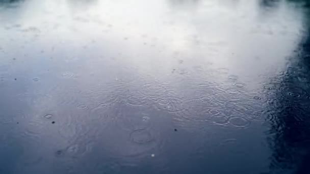 Краплі Дощу Падають Поверхню Води Ставка Озера Або Річки Утворюючи — стокове відео