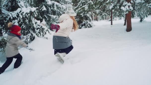 Kinderen Spelen Springen Het Besneeuwde Bos Peuter Springt Sneeuwdrift Kind — Stockvideo