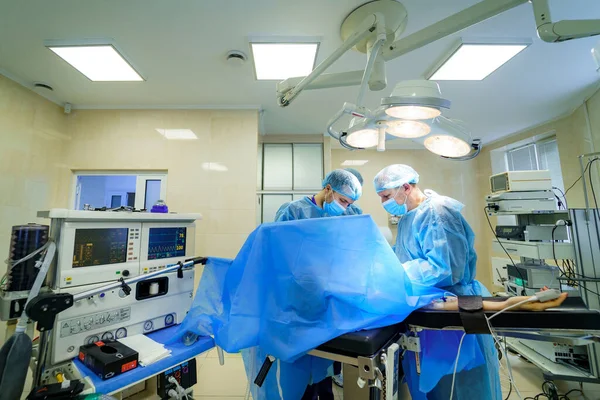 수술실에서 일하는 의사들 병원의 의사들이 일하고 있어요 수술의 척추뼈 — 스톡 사진